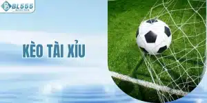 Kèo Tài Xỉu - Hướng Dẫn Cách Chơi Chi Tiết Cho Người Mới